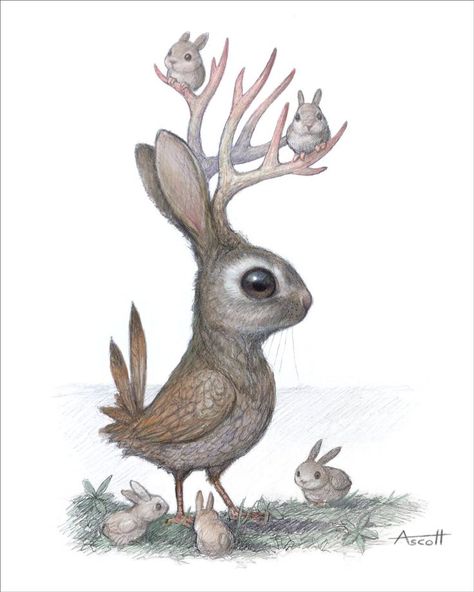 Thomas Ascott, Print Drawing, Hybrid Art, Creature Drawings, Bunny Art, Smoky Mountain, Mythical Creatures Art, Pop Surrealism, Mystical Creatures