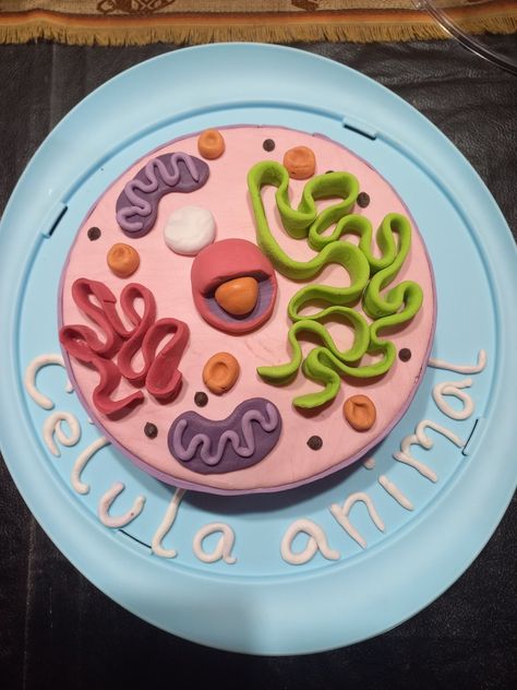 Cell Cakes Project, Animal Cell Project Cake, Biology Cake Ideas, Cell Model Cake, Animal Cell Cake Project, Cell Cake Project, Biology Cake, Animal Cell Cake, Plant Cell Cake