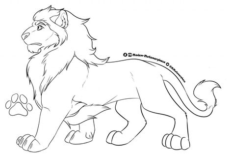 Avatar Animals, Lion King Drawings, Lion King Pictures, Lion Drawing, Animals Drawing, Warrior Cat Drawings, Lion King Art, King Lion, Reference Sheet