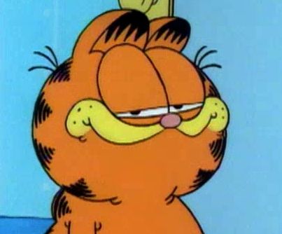 Garfield And Friends, Garfield The Cat