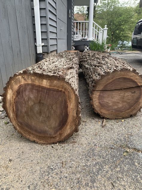 Wood Slabs Ideas, Milk Can Table, Live Edge Wood Table, Black Walnut Table, Trailer Conversion, Enclosed Trailer, Wood Slab Table, Live Edge Furniture, Tree Slices