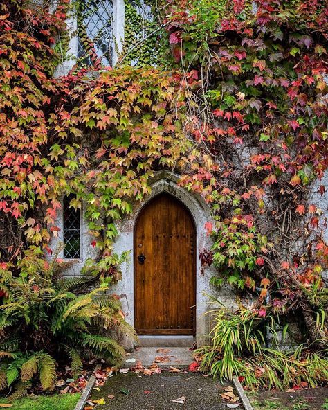 University College Cork (UCC) on Instagram: “Photo: @geekroaming ・・・ Be an opener of doors - Ralph Waldo Emerson.  Except this one, because that would have been breaking and entering.…” Ireland University, Ireland Hiking, Ireland Pubs, Ireland Houses, University College Cork, Ireland With Kids, Christmas In Ireland, Ireland Aesthetic, Ireland Hotels