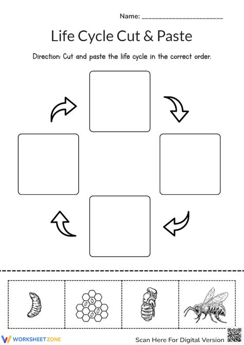 Help students explore the basic stages of a honey bee life cycle through this engaging worksheet. You can find and download any Bee Life Cycle worksheets for FREE at our website: http://worksheetzone.org/ Try it out! #science #scienceworksheets #beelifecycle #animallifecycle #lifecycle #stages #lifecycleofabee #bees #crafts #paper&gluecrafts #printables #worksheet #kidsactivities #beelifecycleforkids #diagrams #paper #livingthings #cut&paste #beecrafts Bees Crafts, Life Cycle Of A Bee, Honey Bee Life Cycle, Bee Life Cycle, Kids Worksheet, Animal Life Cycles, Life Cycles Activities, Science Worksheets, Bee Crafts