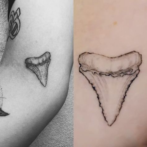 Shark tooth tattoo Tooth Tattoo Simple, Shark Teeth Tattoo, Tattoo On Knee, Simple Shark Tattoo, Small Shark Tattoo, Teeth Tattoo, Shark Tooth Tattoo, Tattoo Pieces, Tiny Designs