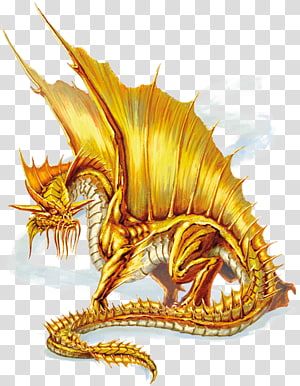 5e Dragon, Gold Powers, European Dragon, Wing Anatomy, Chromatic Dragon, Dragon Anatomy, Monster Manual, Dnd Dragons, Autumn Rain