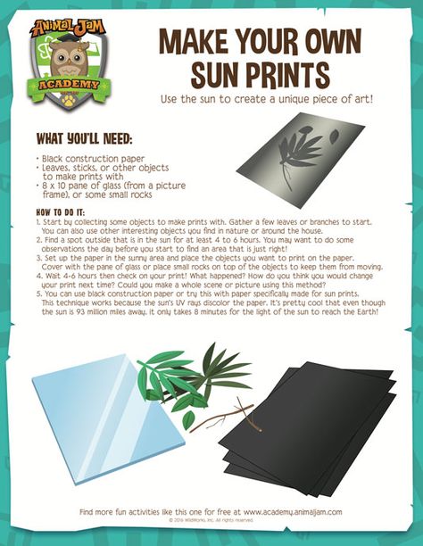 Sun Prints - Animal Jam Academy Engineering Art, Science Camp, Sun Prints, Kid Experiments, Science Projects For Kids, Educational Content, Science Activities For Kids, Animal Jam, Preschool Science