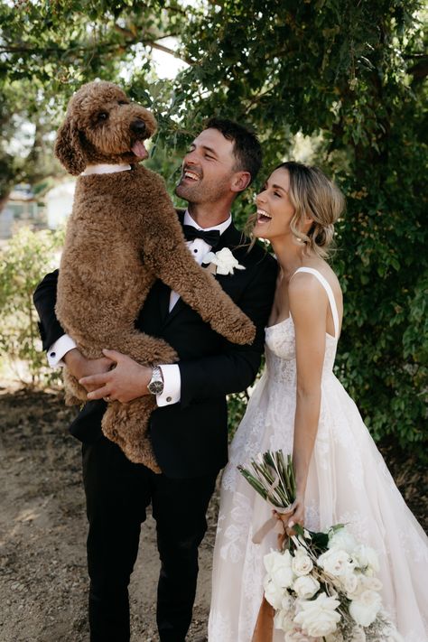 Dog Wedding Photos, Wedding Shot List, Wedding Picture Poses, Shot List, Wedding Pets, Victorian Wedding, Cute Pets, Courthouse Wedding, Wedding Preparation