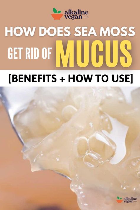 Sea Moss Mucus Get Rid Of Mucus, Getting Rid Of Mucus, Clear Mucus, Seamoss Benefits, Sea Moss, Healthy Beauty, Healthy Eating Recipes, Healthy Living Lifestyle, Holistic Health