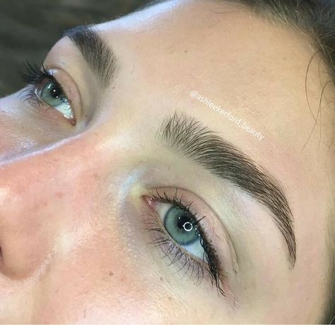 Eyebrows Styles Natural, Natural Eye Brows Shape, Arch Brows Shape, Thick Brow Shapes, Dark Fluffy Eyebrows, Shaped Eyebrows Natural, Eyebrow Ideas Natural, Cute Eyebrow Shapes, Rounded Arch Eyebrows