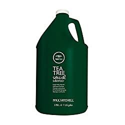 The Best Bulk Shampoo for Your Airbnb or Vacation Rental in 2022 | Floorspace Plastic Bottle Waste, Tea Tree Oil Shampoo, Paul Mitchell Tea Tree, Australian Tea Tree Oil, Vegan Tips, Australian Tea Tree, Tea Tree Shampoo, Best Shampoo, Shampoo Reviews