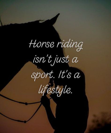 Equestrian Quotes Jumping, Horse Inspirational Quotes, Equestrian Life Quotes, Horse Quotes Meaningful Short, Equestrian Quotes Inspirational, Horse Quotes Inspirational, Short Horse Quotes, Horse Love Quotes, Horseback Riding Quotes