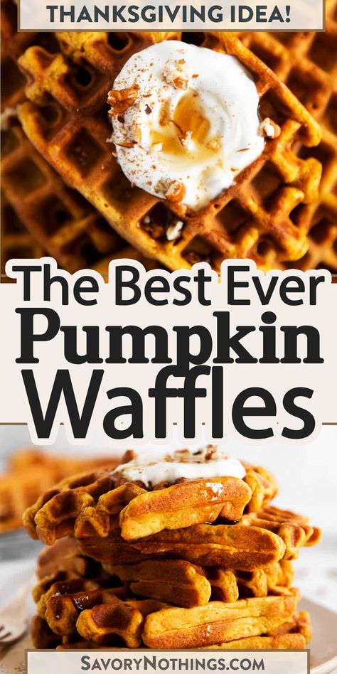 We love these soft and fluffy pumpkin waffles! My recipe makes a quick batter from scratch with an entire cup of pumpkin, eggs, flour, pumpkin spice (obviously!) and milk. The perfect treat on a crisp fall morning! | #waffles #pumpkinrecipe #breakfastrecipe Pumpkin Spice Waffles Easy, Pumpkin Waffles Without Eggs, Best Pumpkin Waffles, Homemade Pumpkin Waffles, Healthy Pumpkin Spice Waffles, Pumpkin Belgian Waffles Recipe, Bisquick Pumpkin Waffles, Pumpkin Waffles Recipe Krusteaz, Pumpkin Belgian Waffles