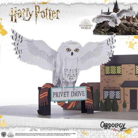 Cardology on Instagram: “Hedwig perching on the 'Privet Drive' sign, outside the Dursley's home and holding on to Harry's scarf! 🦉⠀⠀⠀⠀⠀⠀⠀⠀⠀ ⠀⠀⠀⠀⠀⠀⠀⠀⠀ What could be…” Hogwarts Envelope, Harry Potter Pop Up, 4 Privet Drive, Harry Potter Weihnachten, Harry Potter Spell Book, Harry Potter Birthday Cards, Harry Potter Cards, Hedwig Owl, Harry Potter Pop