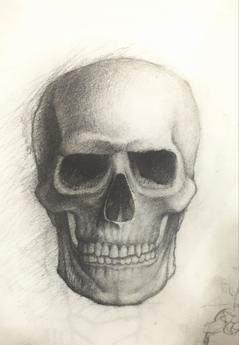 Anatomical Skull Drawing, Skull Front View Drawing, Skull Face Drawing, Skull Shading, Skull Front View, Shading Faces, Natural Forms Gcse, Eyeball Drawing, Mecha Tanks