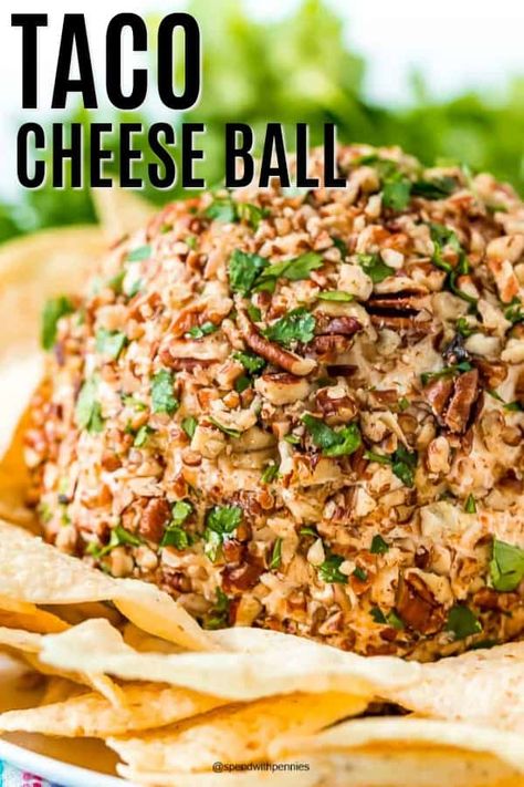 Taco Cheese Ball, Easy Delicious Appetizers, Cheese Ball Recipes Easy, Appetizers Cheese, Cream Cheese Ball, Cheese Ball Recipe, Cheesy Appetizer, Hot Appetizers, Recipes Appetizers