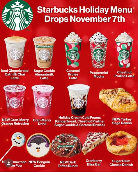 Starbucks Christmas Menu, Holiday Hot Drinks, Chocolate Coffee Drinks, Hot Winter Drinks, Starbucks Holiday Drinks, Secret Starbucks Recipes, Frappuccino Inspired Recipes, Starbucks Coffee Drinks, Starbucks Menu