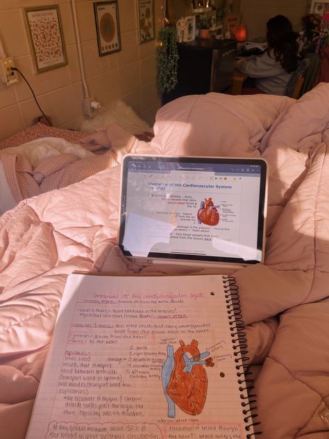 Physiology Study, Hospital Aesthetic, Nursing School Inspiration, Nursing Goals, Medical Study, Nursing Motivation, Studera Motivation, College Nursing, Aesthetic Motivation