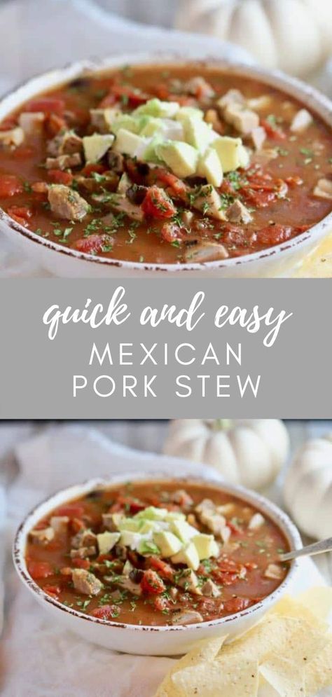 You have to try Quick and Easy Mexican Pork Stew! It only takes 15 minutes to make and salsa verde and fire-roasted tomatoes give it a tasty southwestern flavor. #soup #stew #dinner #easy #southern Mexican Pork Stew, Healthy Stew Recipes, Mexican Pork Recipes, Nutritional Healing, Pork Stew Recipes, Mexican Pork, Pork Salad, Stew Meat Recipes, Pork Soup