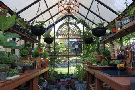 Greenhouse Garden Tips: Growing Your Food - BC Greenhouse Builders Building A Beehive, Greenhouse Tips, Medicinal Wild Plants, Greenhouse Frame, Growing Your Own Food, Diy Greenhouse Plans, Best Greenhouse, Outdoor Greenhouse, Greenhouse Garden