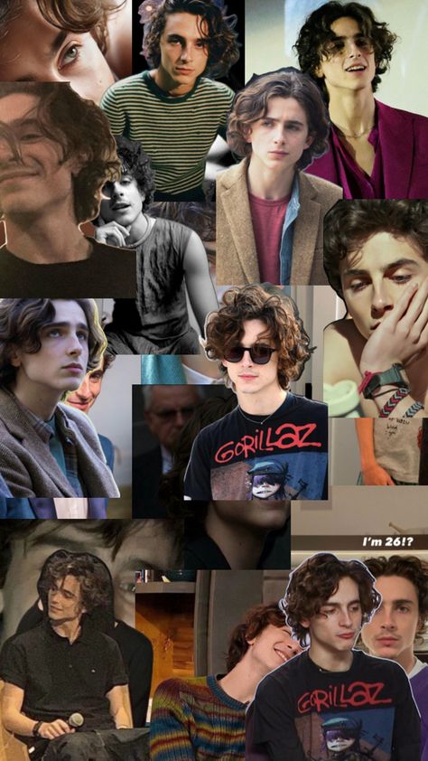 Only Timmy Timothee Chalamet Collage, Timothee Chalamet, The Cutest, Collage