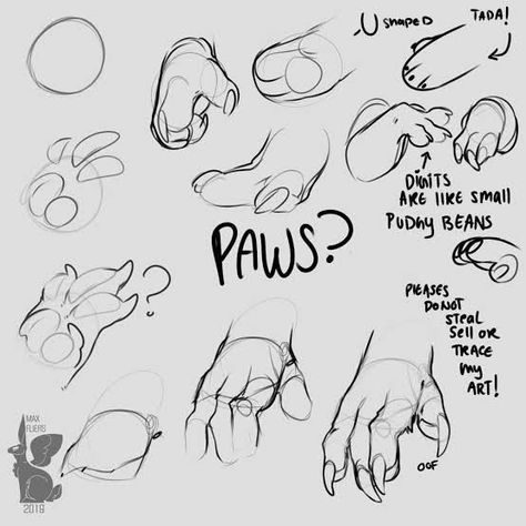 Paws Reference Drawing, Paw Reference, Dragon Paws, Reference Tutorial, Bunny Paws, Paw Drawing, Hand Drawing Reference, Concept Art Drawing, Creature Concept Art