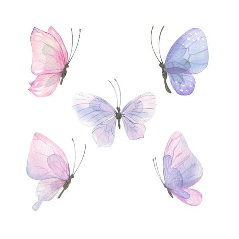 Butterfly Illustration Watercolor, Butterflies In Watercolor, Cute Butterfly Drawing, Mariposas Aesthetic, Butterflies Illustration, Illustration Butterfly, Lilac Butterfly, Watercolor Butterflies, Pink Designs