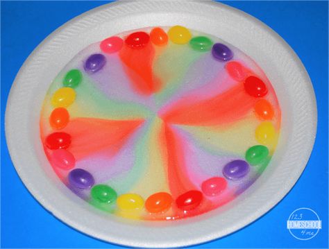 Jelly Bean Rainbow Experiment for Kids Jelly Bean Science Experiment, Edible Science Experiments, Dancing Raisins Experiment, Balloon Science Experiments, Simple Stem Activities, Edible Science, Easter Science, Planting A Rainbow, Rainbow Experiment