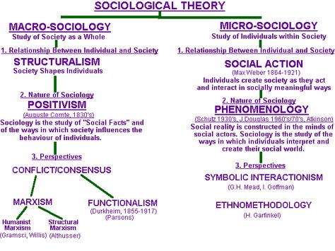 Macro and Micro Sociological Theory: A diagram of theoretical perspectives and their theorists Sociology A Level, Sociology Theory, What Is Sociology, Sociology Major, Sociology Class, Sociological Imagination, Human Science, Study Site, Research Writing