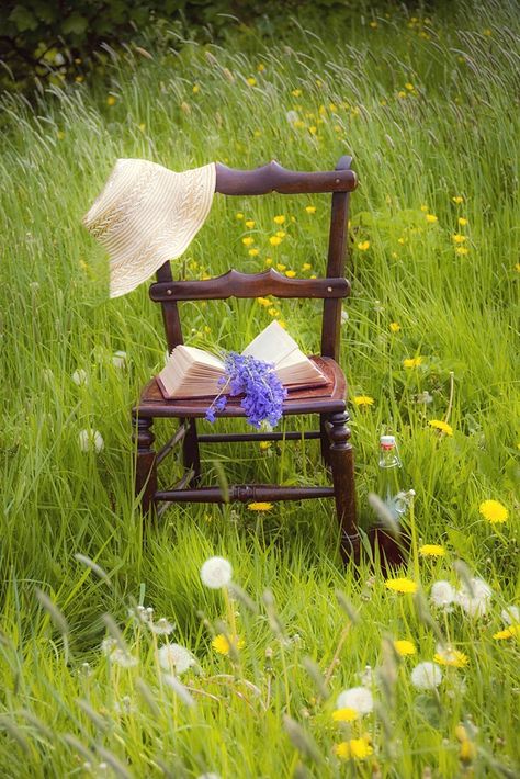 Mid May Outdoor Still Life | vesnaarmstrong.blogspot.co.uk/2… | Flickr Book Dedication, Theme Dress, Photography Projects, New Theme, Outdoor Photography, Life Photography, Still Life Photography, Story Time, Holiday Fashion