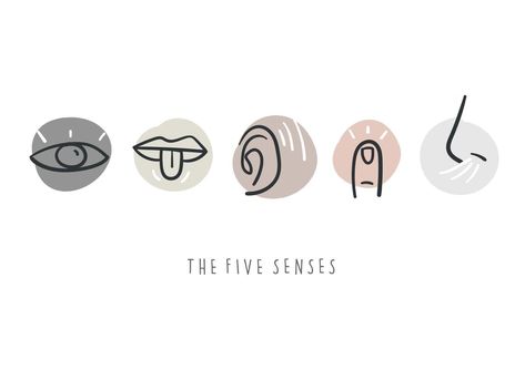 Five Senses Drawing, Sensory Illustration, Five Senses Illustration, Senses Graphic Design, 5 Senses Illustration, Cool Fonts For Logos, Senses Illustration, Senses Drawing, Cool Fonts To Draw