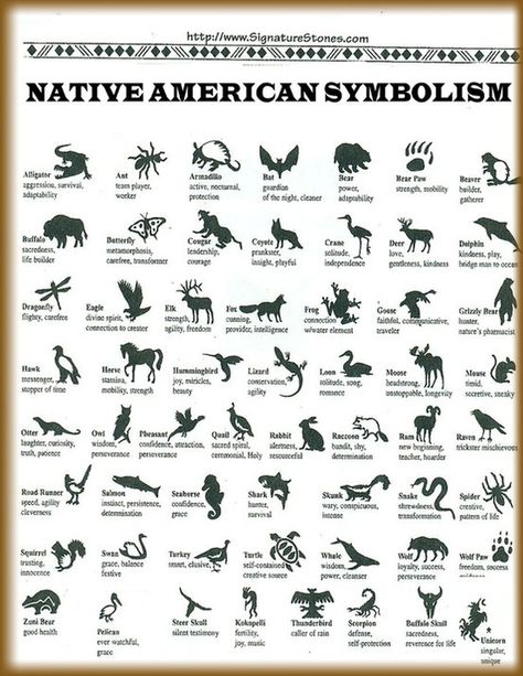 native american animal symbols and meanings | Native American / Native American… Animal Symbols, Native American Symbols, American Symbols, The Words, Native American, Black And White, White, Black