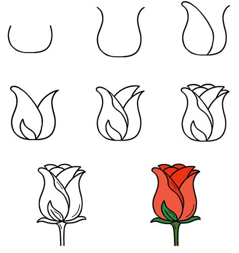 How To Draw A Rose Bud In Basic Shape 1 Basic Rose Drawing, How To Draw A Simple Rose, Rose Buds Drawing, Easy To Draw Rose, Rose Drawing Reference, Roses Drawing Easy, How To Draw Rose, Draw Rose Easy, Rose Bud Drawing