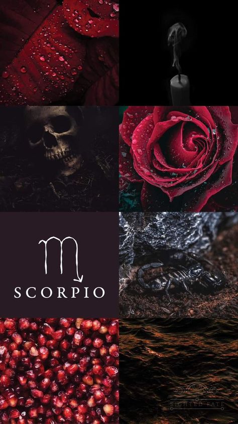 Scorpio Wallpaper Iphone Aesthetic, Scorpio Zodiac Wallpaper, Scorpio Aesthetic Wallpaper, Scorpio + Core + Aesthetic, Scorpio Core, Scorpion Wallpaper, Scorpio Wallpaper, Scorpion Sign, Scorpio Things