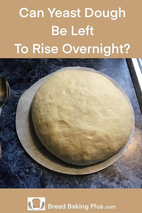 Bread Overnight Rise, Overnight Yeast Bread, Overnight Dough Recipe, Overnight Rise Bread, Overnight Refrigerator Yeast Rolls, Fresh Yeast Bread Recipe, Overnight Yeast Rolls, Overnight Bread Dough, Overnight Dough