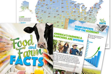 Agriculture Education Lessons, Agriculture Activities, Agriculture Education Classroom, Teaching 3rd Grade, Educational Facts, Homeschool Highschool, What Is Education, Farm Facts, Farm Lessons