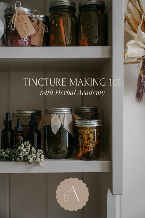 Learn how to make high quality herbal tinctures to stock your home apothecary shelves + keep your family well all winter long #apothecary #pantry #herbalism #wellness #cottagecore Home Apothecary Aesthetic, Home Apothecary Ideas, Medicinal Apothecary, Herbal Apothecary Recipes, Apothecary Crafts, Herbal Pantry, Herbology Aesthetic, Apothecary Shelves, Herbalism Apothecary