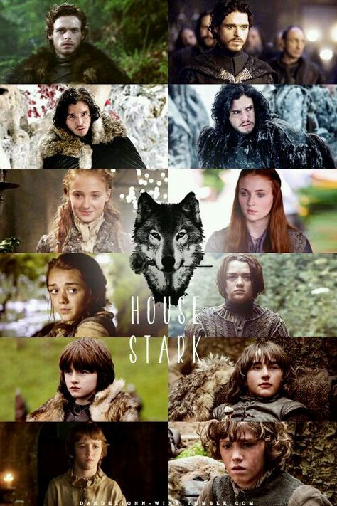 The Stark Children Rickon Stark, Stark Children, Stark Family, Tv Scenes, Game Of Thrones 3, Game Of Thrones Tv, Got Game Of Thrones, I Love Games, House Stark