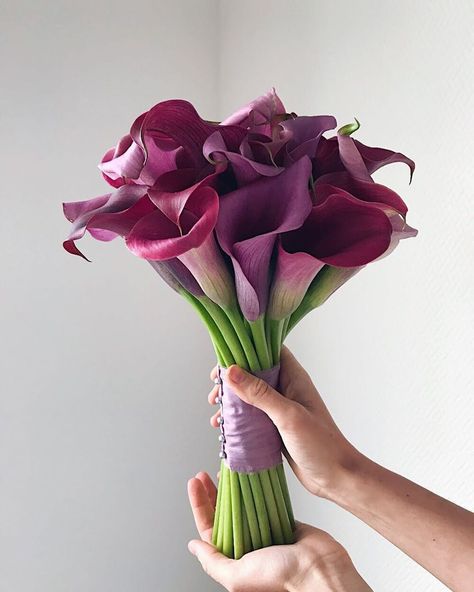 Purple Calla Lilies Wedding, Black Calla Lily, Calla Lily Bridal Bouquet, Lily Bridal Bouquet, Calla Lily Bouquet Wedding, Calla Lily Bridal, Purple Calla Lilies, Calla Lily Wedding, Calla Lily Bouquet