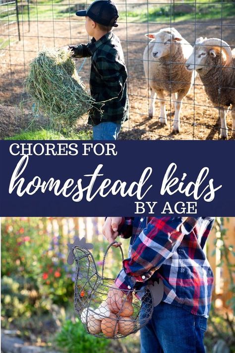 Daily Chicken Chores, Dream Farm Life, Homestead Market, Hobby Farms Layout, Chores For Kids By Age, Starting A Farm, Farm Hacks, Homesteading Diy, Farm Plans