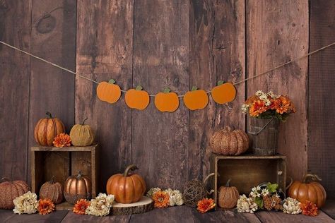 Set Halloween Fotografia, Spices Photography, Fall Backdrops, Fabric Backdrops, Fancy Fabric, Christmas Photography Backdrops, Fall Mini Sessions, Halloween Photography, Paper Backdrop