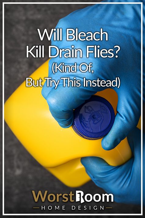 Will Bleach Kill Drain Flies? (Kind Of, But Try This Instead) How To Get Rid Of Gnats In Sink Drain, Fruit Flies In Drain Sinks, Gnats In Sink Drain, How To Kill Gnats, Drain Flies, Killing Flies, How To Get Rid Of Gnats, Kitchen Plumbing, Black Fly