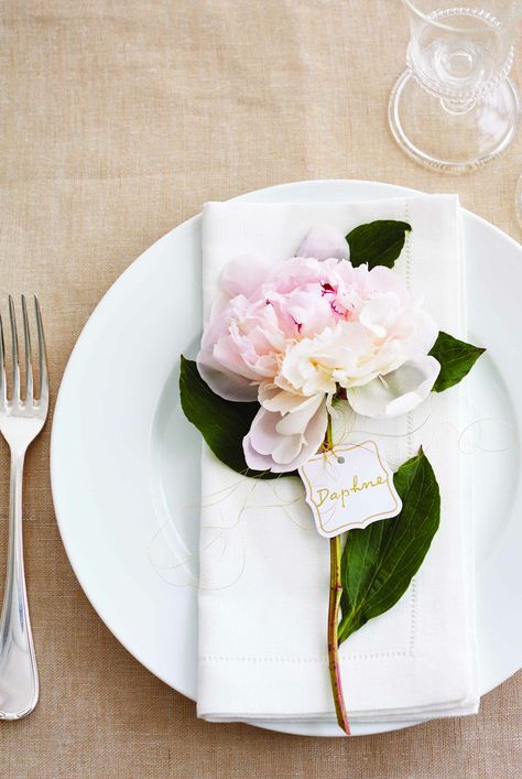 White, Flower, Pink, Cut flowers, Plant, Peony, Plate, Bouquet, Petal, common peony, Summer Table Decor, Textured Bowls, Plate Setting, Summer Table Decorations, Unique Plates, Cactus Party, Summer Party Decorations, Table Decor Ideas, Summer Table