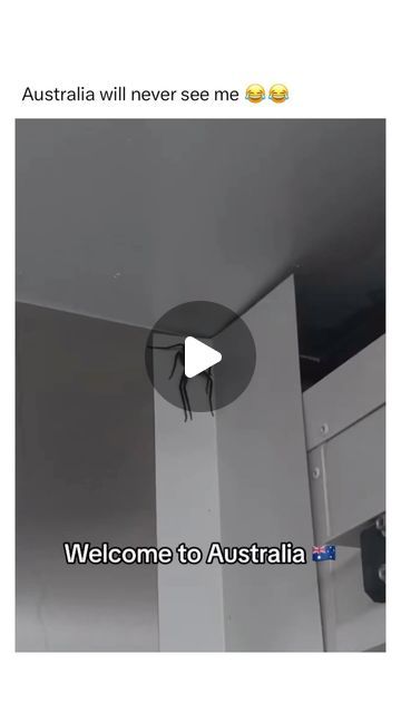 Today Years Old on Instagram: "That’s his house now

(@michaellarauz via ARK Media @arkbykomi)

#fyp #viral #reels #spider #australia #scary #fear" Spiders In Australia, Today Years Old, Spider Species, Big Spiders, Spiders Scary, Viral Reels, April 7, Spiders, Australia