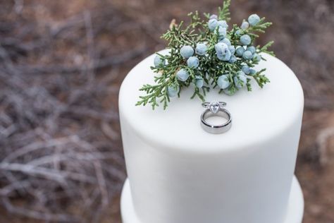 Juniper Centerpiece, Wedding Themed Cocktails, Juniper Wedding, Candlelight Centerpieces, Nice Rings, Winter Wedding Centerpieces, Styled Photoshoot, Beauty Cakes, Second Wedding