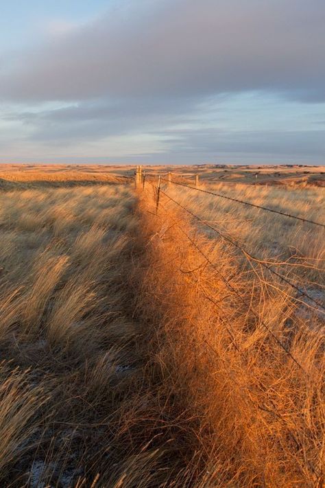 Farmland Aesthetic, Dune Landscape, Great Plains, Open Field, Barbed Wire, Big Sky, Grasses, Mountaineering, South Dakota