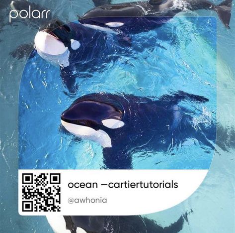 Ocean Filter, Cool Filters, Polarr Presets, Code Pollar, Polar Filters, Code Polarr, Polarr Filters, Polarr Codes, Polarr Code