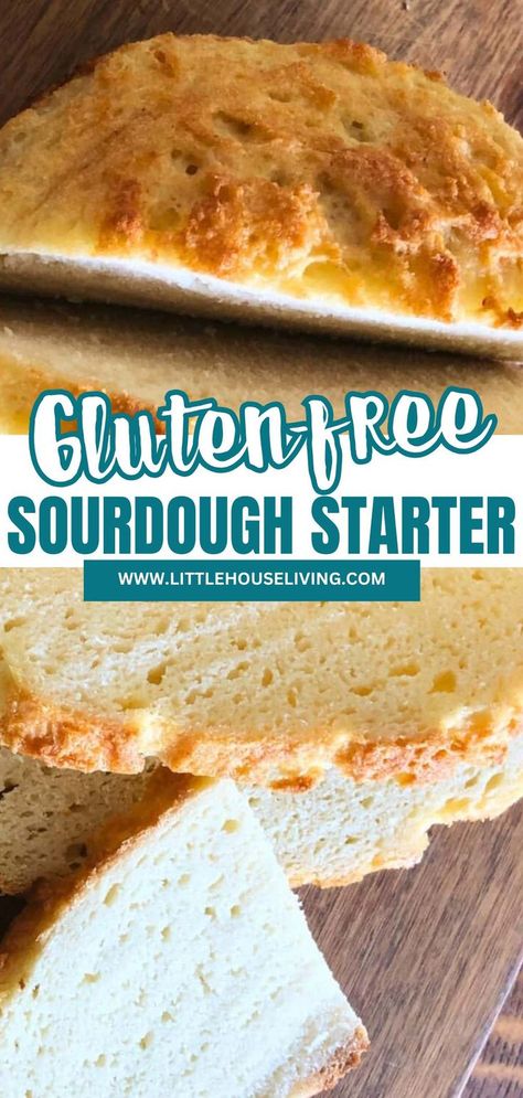 Learn how to make gluten-free sourdough starter with this easy guide. Perfect for those with dietary restrictions, this homemade starter uses gluten-free flour to create delicious bread without gluten. Discover tips for maintaining your starter and enjoy baking gluten-free sourdough bread at home. King Arthur Gluten Free Sourdough Starter, Gf French Bread, Making Gluten Free Bread, Homemade Gluten Free Bread Easy, Gluten Free Sourdough Starter Recipe, Sourdough Gluten Free Bread, Easy Gluten Free Sourdough Bread, Gluten Free Bread Flour, Gluten Free Sourdough Starter