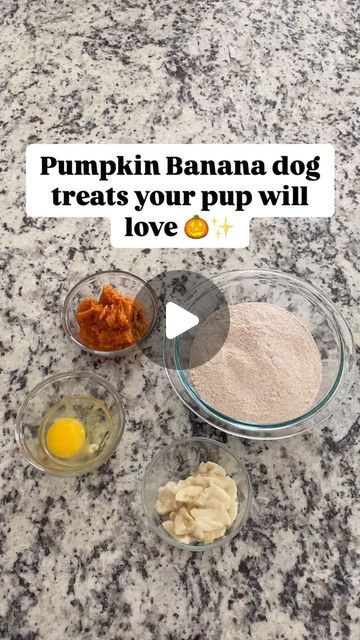 bodhi + kora on Instagram: "SAVE this treat idea to try later! ✨🎃  Pumpkin Banana Dog Treats   Ingredients: •  1 1/2 cups whole wheat flour •  1 egg •  1/2 cup 100% canned pumpkin puree •  1/2 banana, mashed   Directions: Preheat oven to 350°F. Mix together banana, pumpkin & egg. Add flour and mix until fully incorporated. Lightly dust counter top and roll dough to ~1/8 inch thick. Cut out the treats using a cookie cutter. Lay on baking sheet and bake for 20 minutes. Let treats cool completely before giving to your dog. Enjoy!  Please consult a veterinarian if you have questions or concerns about feeding your dog this treat.  Follow @bodhi.and.kora for more dog-friendly recipes, tips and tricks! . . .  #dogtreats #dogtreat #dogtreatrecipe #dogtreatsfordays #homemadedogtreats #dog #october Dog Pumpkin Treats, Pumpkin Banana Dog Treats, Banana Dog Treats, Dog Treats Homemade Easy, Pumpkin Oats, Dog Pumpkin, Pumpkin Banana, Pumpkin Treat, Dog Treat Recipes