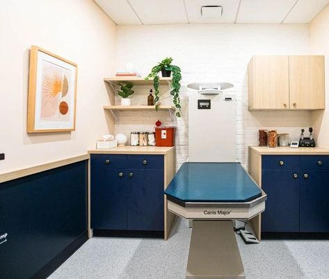 I really like the layout of the exam rooms, the dark cabinets and the dark lower wall-- it's hard to keep them clean! I like the open shelving which you don't often see Exam Room Design, Vet Pictures, Vet Office Decor, Vet Office, Astoria Queens, Vet Clinic, Reception Furniture, Clinic Interior Design, Office Remodel