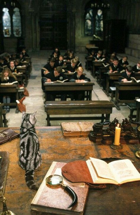 Professor Mcgonagall's classroom! Glume Harry Potter, Harry Potter Wall, Buku Harry Potter, Theme Harry Potter, Images Harry Potter, Hogwarts Aesthetic, Slytherin Aesthetic, Harry Potter Pictures, Harry Potter Wallpaper